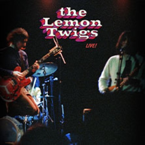THE LEMON TWIGS - HAMBURG - 22.09.2026 20:00