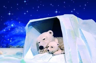 Der kleine Eisb�r