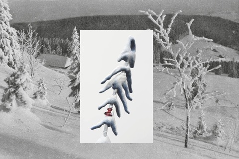 �ffentliche F�hrung - Freiburg - 01.07.2026 19:00