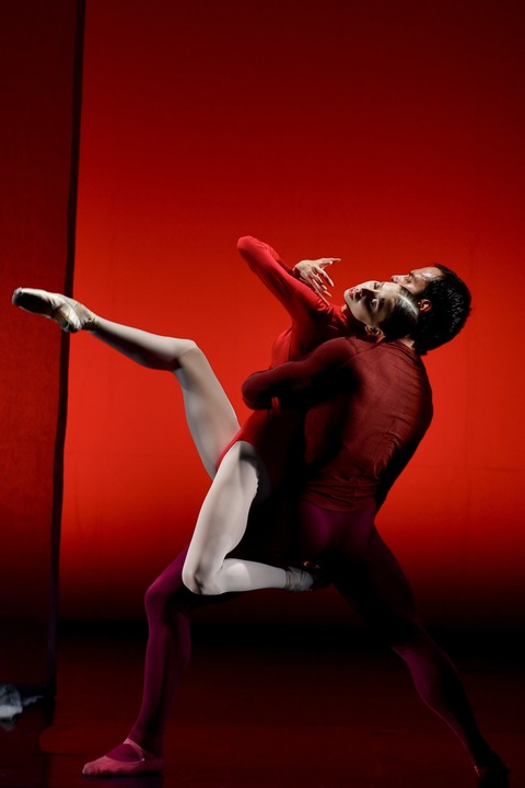 Ballettabend Hamburger Kammerballett - Alfeld - 04.08.2026 19:30