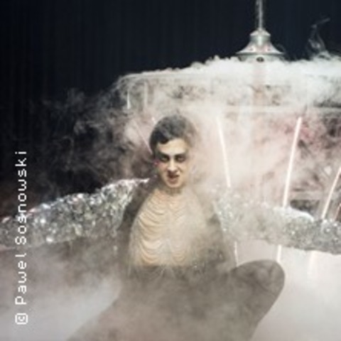 Die Fledermaus - Dresden - 10.06.2027 19:30
