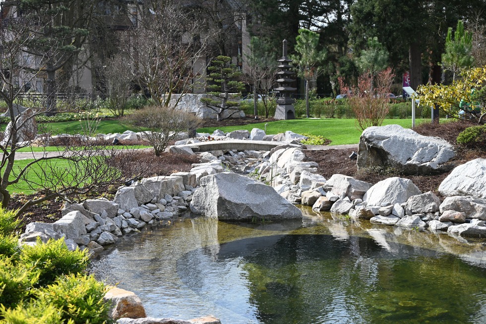 Japanischer Garten - Bad Krozingen