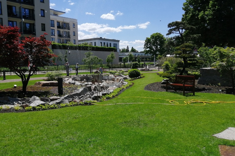 Japanischer Garten - Bad Krozingen