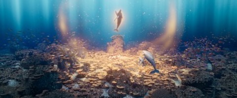 Der letzte Wals�nger - Schopfheim - 10.05.2026 15:00