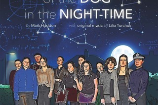 The Curious Incident of the Dog in the Night-Time