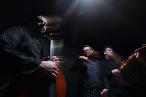 Trio Barvinsky - F�rstenfeldbruck - 13.03.2027 20:00