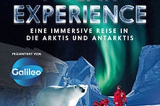POLAR EXPERIENCE - Die immersive Ausstellung