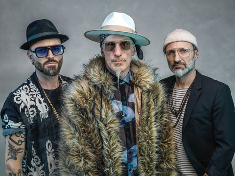 The Next Movement | Karma Dojo Tour - Explosive Groove, Funk & Soul - Dresden - 09.11.2026 19:30