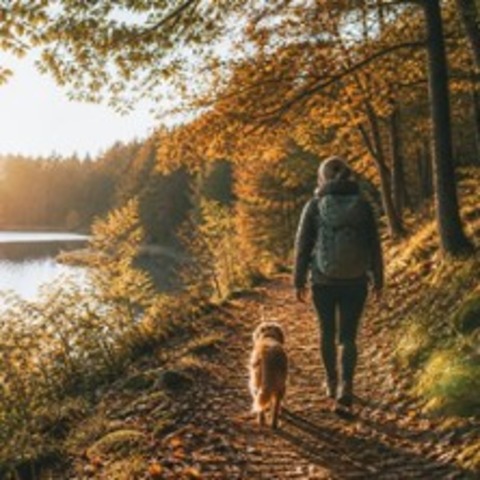Herbstwanderung Gommern 50 km Daylight - GOMMERN OT DANNIGKOW - 19.09.2026 09:00