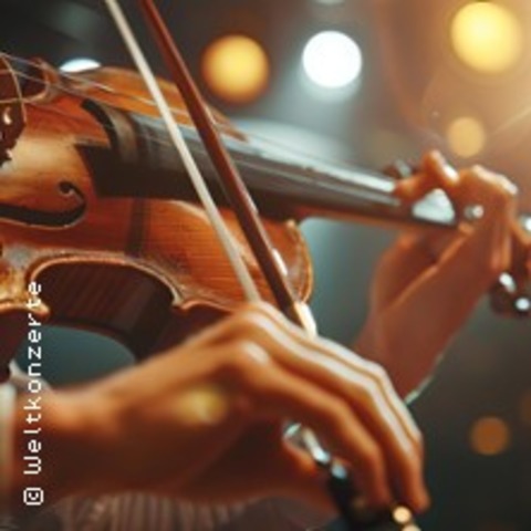 Vivaldi - Die Vier Jahreszeiten - Kammerorchester der Neuen Philharmonie Hamburg - W�rzburg - 10.10.2026 16:00