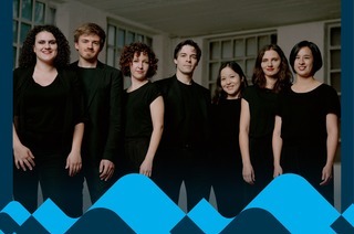 Franz Ensemble - Schwedische Serenade