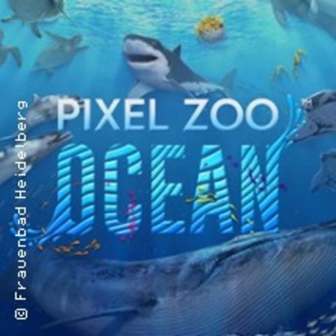 Pixel Zoo Ocean - Heidelberg - 20.06.2026 10:00