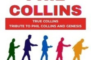 True Collins