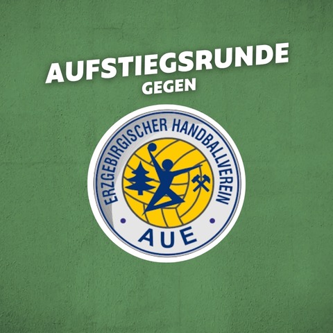 TV Emsdetten - EHV Aue - Emsdetten - 23.05.2026 19:00