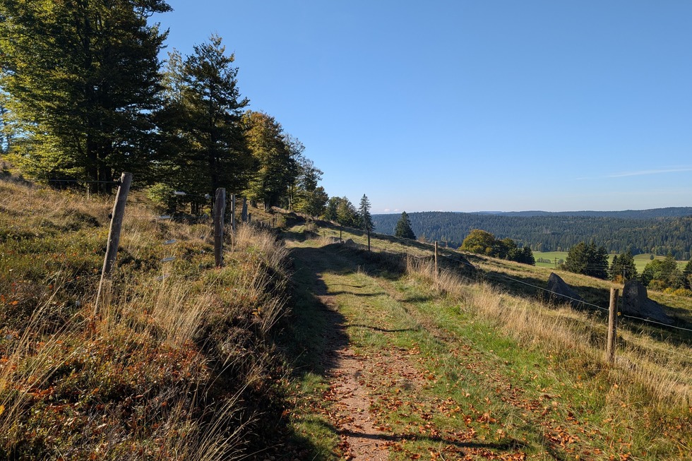 Ibacher Panoramaweg - Ibach