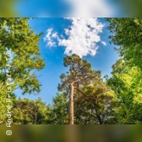 Waldbaden im Ostseeheilbad - GRAAL-M�RITZ - 27.05.2026 15:00