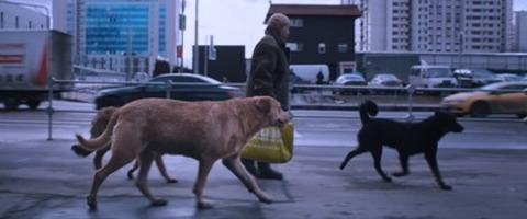 Dreaming Dogs - Basel - 15.05.2026 20:30