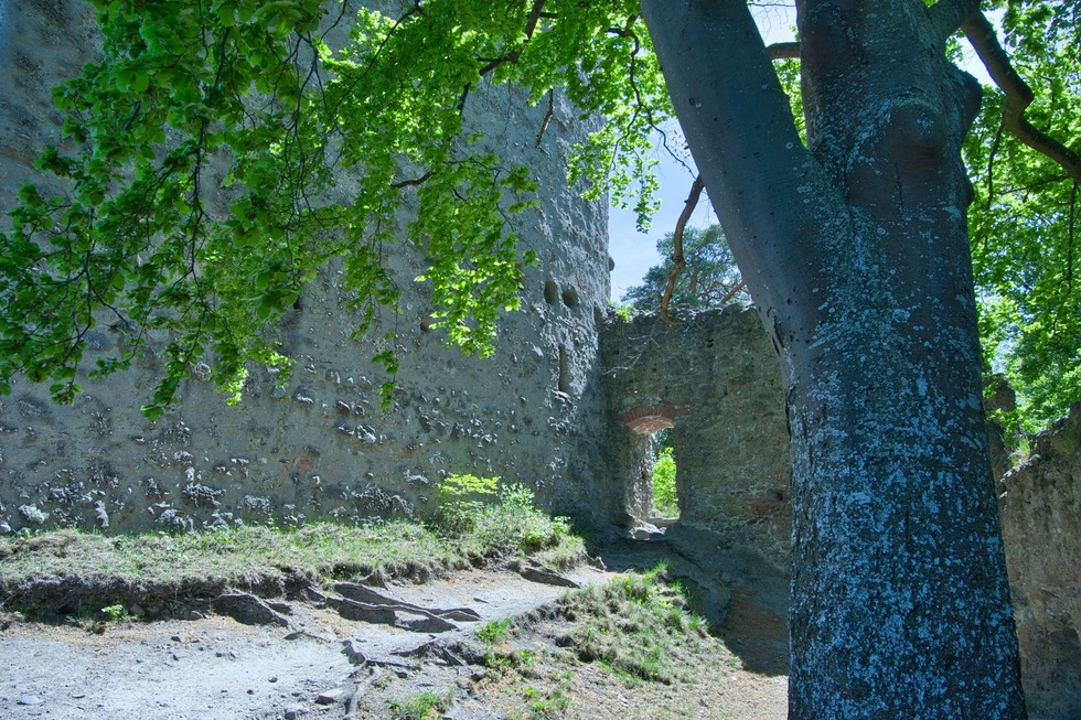 Burgruine Altbodman - Bodman-Ludwigshafen