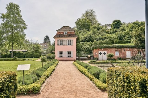 Ettenheim entdecken und Natur genie�en: Stadtf�hrung mit Kurzwanderung zum Heuberg. - Ettenheim - 28.05.2026 17:00