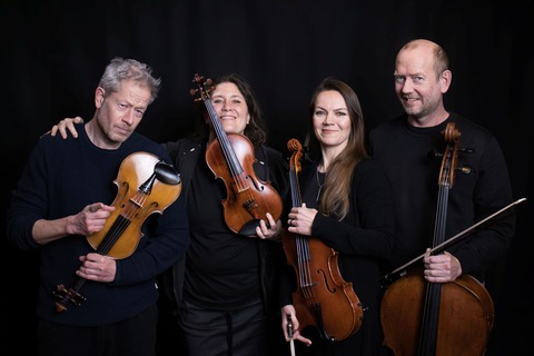 Mozart meets Ed Sheeran - Bad Soden-Salm�nster - 19.06.2026 19:30
