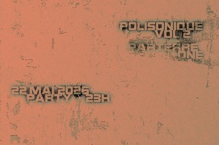 Polisonique vol.2