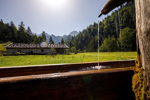 Achtsam unterwegs in der Natur - Ruhpolding - 26.05.2026 07:00