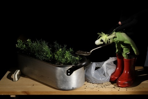 SPIELKORB Kindertheater - Als der kleine Koriander kam - Duisburg - 12.05.2027 11:00