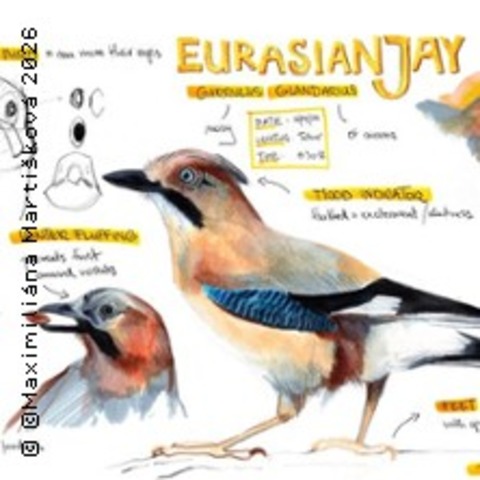Nature Journaling: Die Welt der V�gel - BERLIN - 18.07.2026 14:45