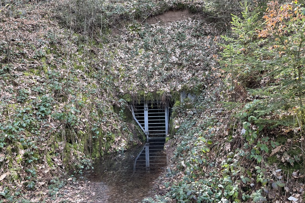 Abenteuerweg Hausach - Hausach