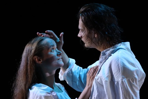 Heimsuchung - Nach Roman von Jenny Erbenbeck / Wolfgang Borchert Theater, M�nster - Borken - 11.02.2027 10:00