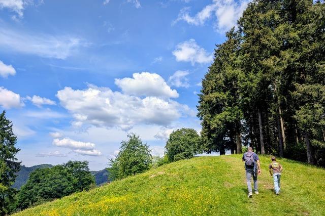 Familienpfad M�nstertal
