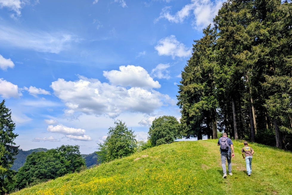 Familienpfad - M�nstertal