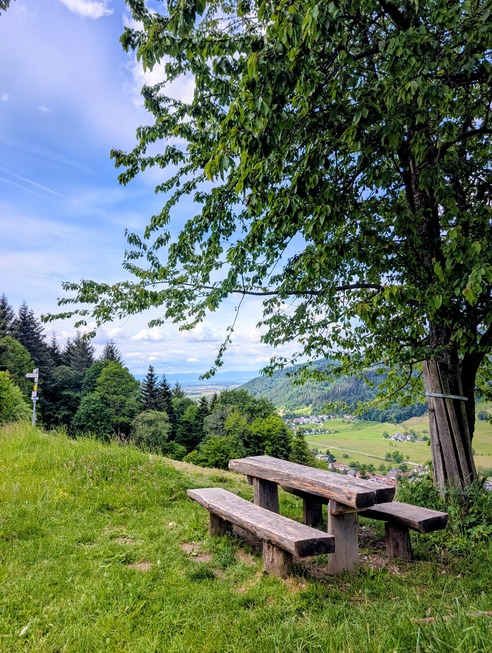 Familienpfad - M�nstertal
