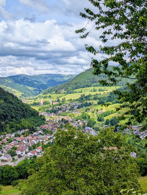 Familienpfad - M�nstertal