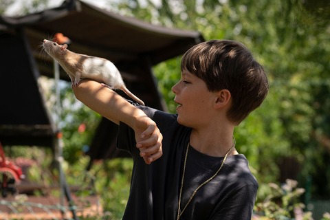 SR Familienfilmblock: Kinderkurzfilme f�r die J�ngsten - Sankt Ingbert - 14.06.2026 15:00