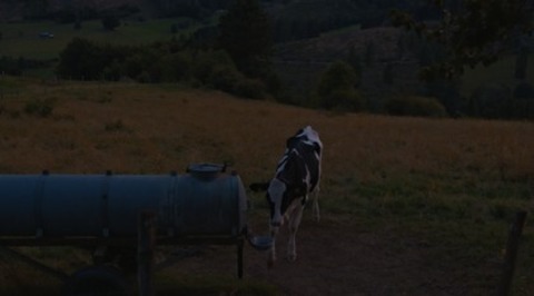 Ehrenamt - Eine Kulturreise im l�ndlichen Raum - Kehl - 21.05.2026 20:10