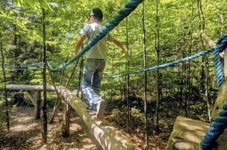 Wo der Wald zum Abenteuerort wird: Erlebnispfade im Schwarzwald