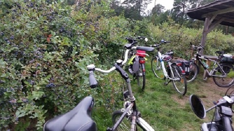 Gef�hrte Fahrradtour mit der Urlaubsregion Ebstorf e.V. - Ebstorf - 15.08.2026 13:00