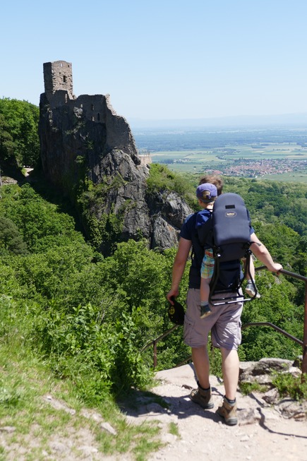 Drei-Burgen-Wanderung - Ribeauvill�