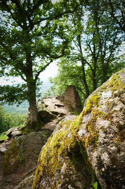 Burgentour bei Andlau - Andlau