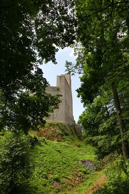 Burgentour bei Andlau - Andlau