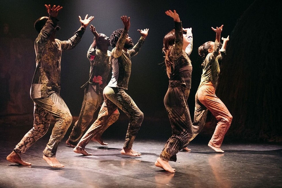 Das Tanzgastspiel „Combat des lianes“ wird im Gro�en Haus aufgef�hrt - Badische Zeitung TICKET