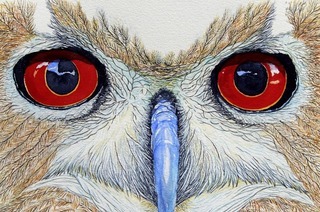 Gabriele Biniarz stellt im Kurhaus Freiamt Aquarelle und Makros zum Thema Artenvielfalt aus