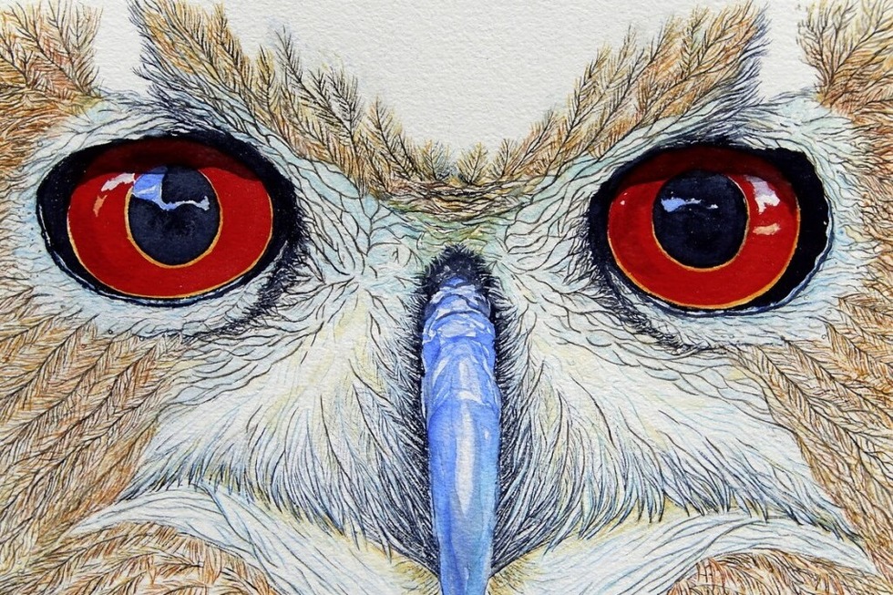 Gabriele Biniarz stellt im Kurhaus Freiamt Aquarelle und Makros zum Thema Artenvielfalt aus - Badische Zeitung TICKET