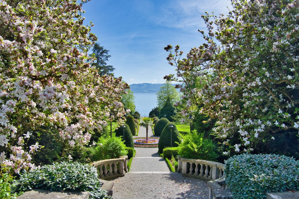 Leopold am See - Lindau (Bodensee)