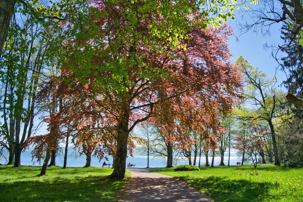 Lindenhofpark - Lindau (Bodensee)