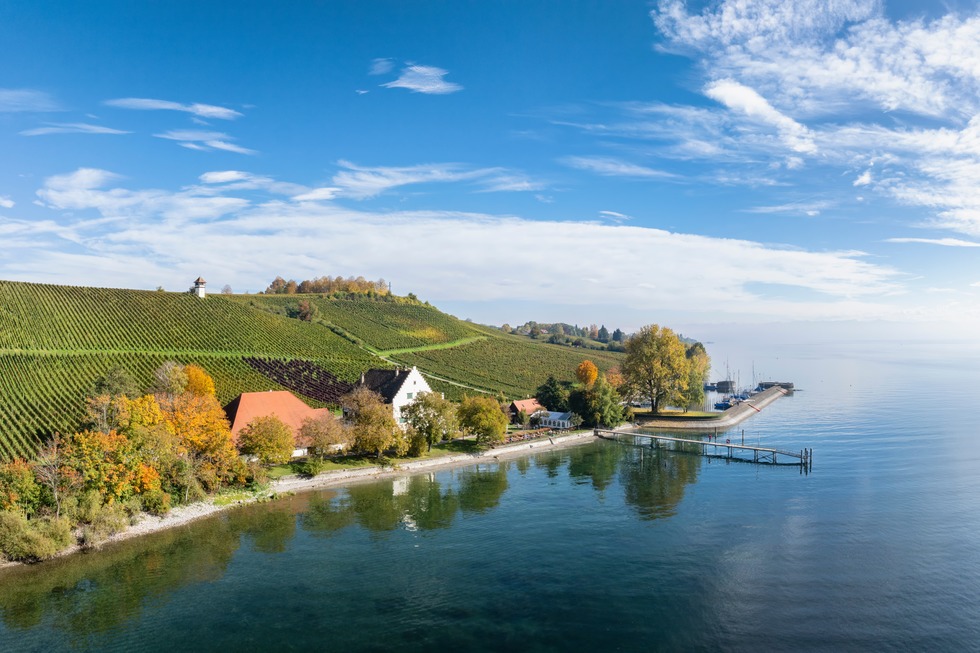 Rebgut Haltnau - Meersburg