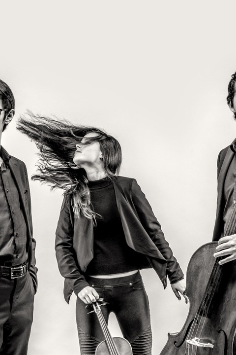 Amatis Trio - Schubert, Liszt & Mendelssohn Bartholdy - Kempen - 04.12.2026 20:00