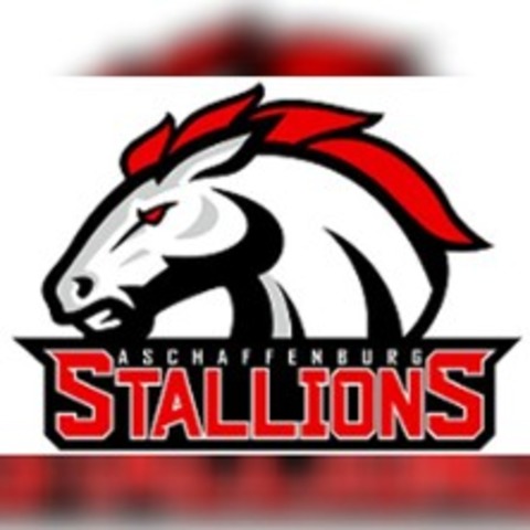 Heimspiel gegen Herzogenaurach - STOCKSTADT - 31.05.2026 15:00
