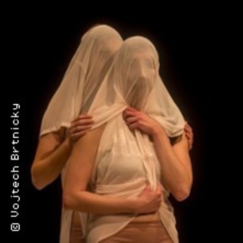 Victims & Images: Vol 2 | Mash Dance Berlin 2026 - BERLIN - 28.06.2026 19:30
